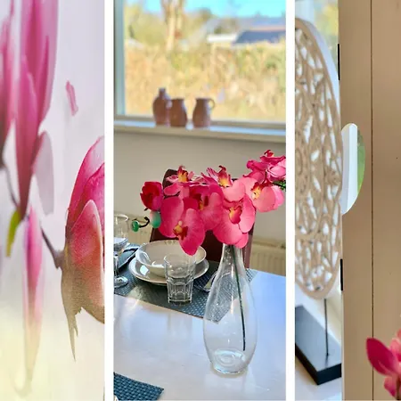 Renovated With Garden * Sint Maartensvlotbrug